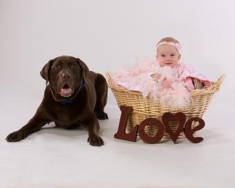 Product - The Henry Studio in Downtown - Holliston, MA Misc Photographers