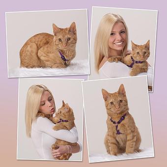 Product - The Henry Studio in Downtown - Holliston, MA Misc Photographers
