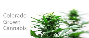 Product - The Herb Shoppe in Colorado Springs, CO Health, Diet, Herb & Vitamin Stores