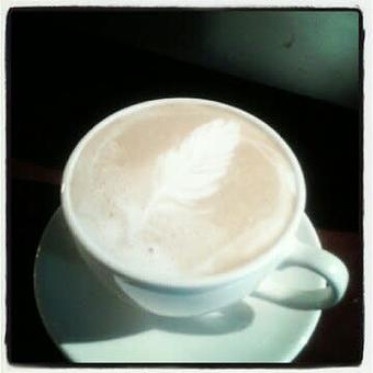 Product - The Local Buzz in Cape Elizabeth, ME Restaurants/Food & Dining