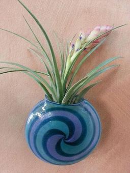 Product - The Muse in Frederick, MD Shopping & Shopping Services