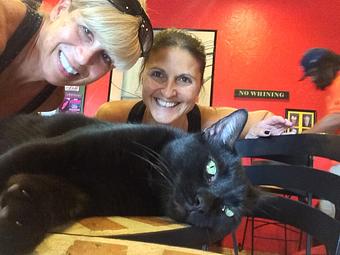 Product - The Perfect Circle in Palm Springs North Next to Royal Oaks in Miami Lakes - Hialeah, FL Sports & Recreational Services