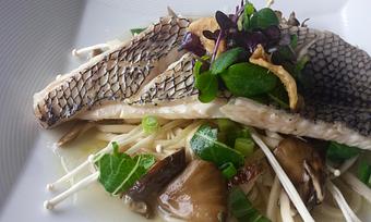 Product: maitake, shiitake, enoki, napa cabbage, scallions, udon noodles, ginger-lemongrass broth - The Plaza Café in Southampton Village - Southampton, NY American Restaurants