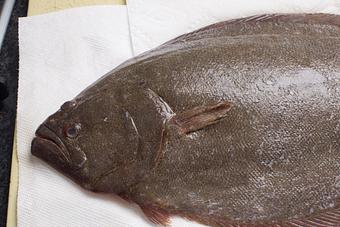 Product - The Ridge Steakhouse in Airmont, NY Japanese Restaurants