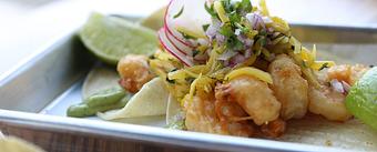 Product - The Taco Project in Tarrytown, NY Mexican Restaurants