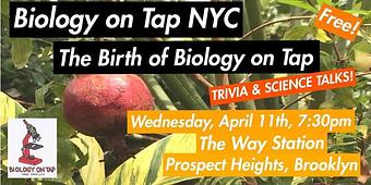 Product - The Way Station in Prospect Heights - Brooklyn, NY Gas Stations Product - The Way Station in Prospect Heights - Brooklyn, NY Gas Stations