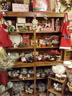 Product - The Weed Patch in Mill Creek, WA Shopping & Shopping Services
