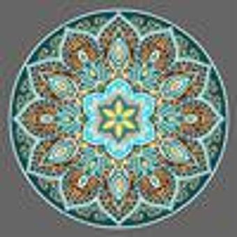 Product - The Yoga Effect Virtual Studio in Grayslake, IL Yoga Instruction