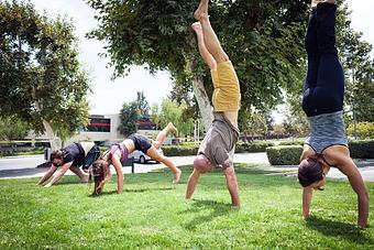 Product - Think in Calabasas, CA Sports & Recreational Services