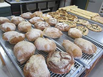 Product - Thomas Family Winery in Madison, IN Wine Manufacturers Product - Thomas Family Winery in Madison, IN Wine Manufacturers