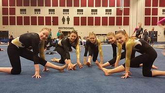 Product - Tiger Academy Of Gymnastics in Columbia, MO Sports & Recreational Services