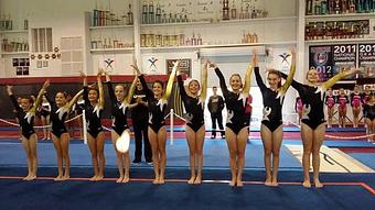 Product - Tiger Academy Of Gymnastics in Columbia, MO Sports & Recreational Services