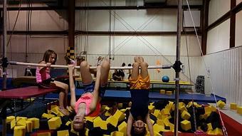 Product - Tiger Academy Of Gymnastics in Columbia, MO Sports & Recreational Services