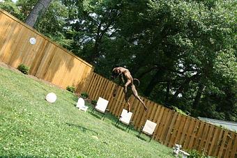 Product - Time For A Walk in Arlington, VA Pet Care Services