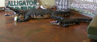 Product - Tin Fish in Sunrise, FL American Restaurants