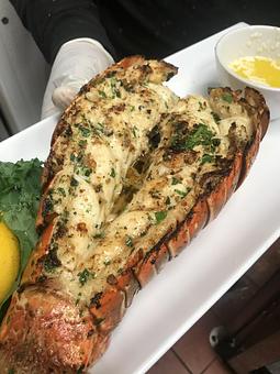 Product - Tin Fish in Sunrise, FL American Restaurants