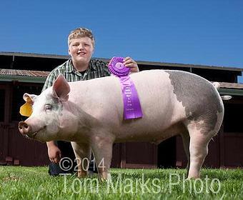 Product - Tom Marks Photo in Seattle, WA Photofinishing Laboratories