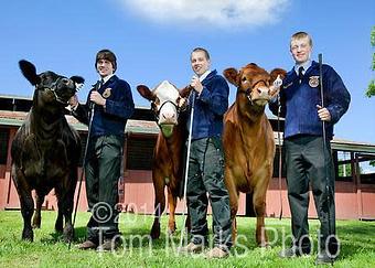 Product - Tom Marks Photo in Seattle, WA Photofinishing Laboratories