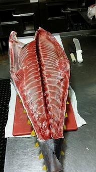 Product - Tonbo Hibachi Grille in Port Richey, FL Bars & Grills