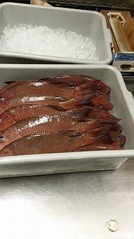 Product - Tonbo Hibachi Grille in Port Richey, FL Bars & Grills