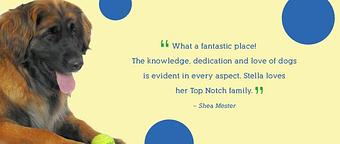 Product - Top Notch Kennels in Modesto, CA Pet Boarding & Grooming
