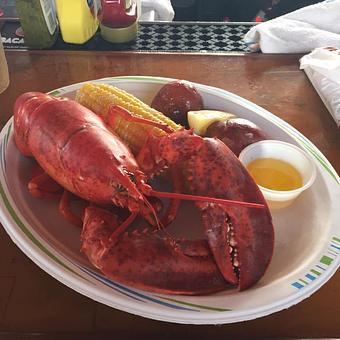 Product - Trader Ed's at Hyannis Marina in Hyannis, MA American Restaurants