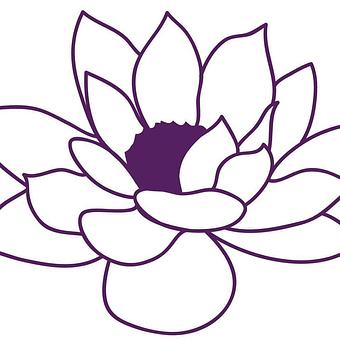 Product - Trailside Yoga & Beyond in Fayetteville, AR Yoga Instruction