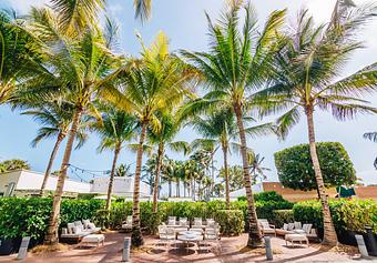 Product - Traymore by Michael Schwartz in Miami Beach - Miami Beach, FL Bars & Grills