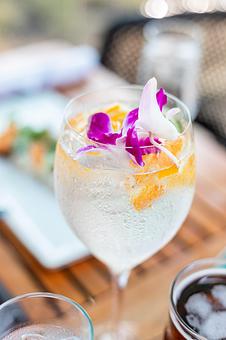 Product - Treehouse on PCH in Huntington Beach, CA Bars & Grills