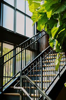 Product - Treehouse on PCH in Huntington Beach, CA Bars & Grills