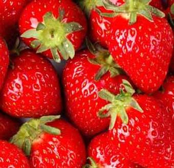 Product - Tropical Smoothie Cafe in Gambrills, MD American Restaurants