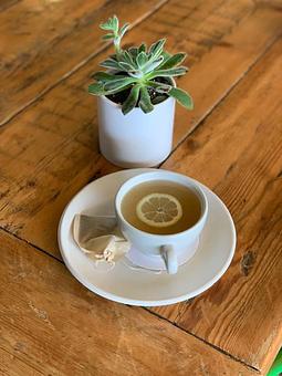 Product - True Food Kitchen in San Diego, CA American Restaurants