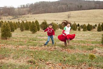 Product - Twist & Snap Photography in Staunton, VA Misc Photographers