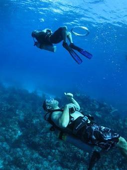 Product - Underwater Phantaseas, South in Greenwood Village, CO Sports & Recreational Services Product - Underwater Phantaseas, South in Greenwood Village, CO Sports & Recreational Services