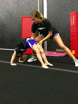 Product - Unique Fitness in Lake Charles, LA Health Clubs & Gymnasiums