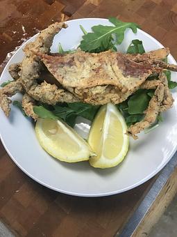 Product - Vecchia Pizzeria in Phoenixville, PA Italian Restaurants