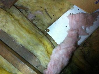Product - Verminators Wildlife Evictions in Brookwood High School - Snellville, GA Business Services