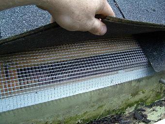 Product - Verminators Wildlife Evictions in Brookwood High School - Snellville, GA Business Services
