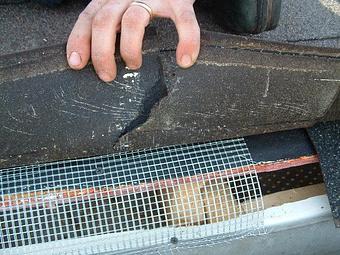 Product - Verminators Wildlife Evictions in Brookwood High School - Snellville, GA Business Services