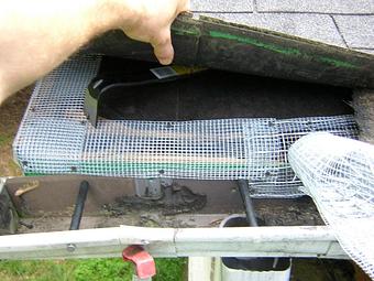Product - Verminators Wildlife Evictions in Brookwood High School - Snellville, GA Business Services