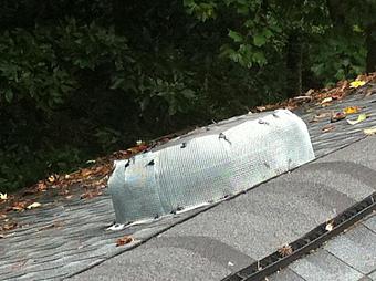 Product - Verminators Wildlife Evictions in Brookwood High School - Snellville, GA Business Services