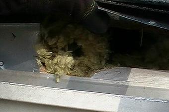 Product - Verminators Wildlife Evictions in Brookwood High School - Snellville, GA Business Services