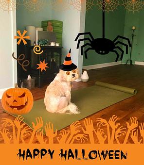 Product - Village Yoga in Franklin, Michigan - Franklin, MI Yoga Instruction