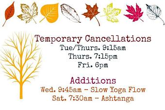 Product - Village Yoga in Franklin, Michigan - Franklin, MI Yoga Instruction