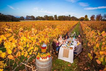 Product - Vina Castellano Winery in Auburn, CA Bars & Grills