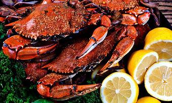 Product - Vince's Crabhouse of Middle River in Middle River, MD Seafood Restaurants