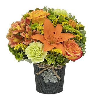 Product - Vine and Ivy Flowers in Suffield, CT Florists