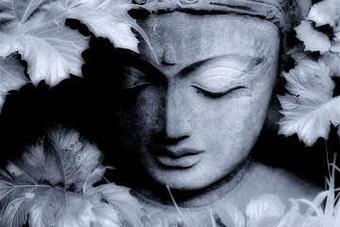 Product - Vivify Hot Yoga in Rio Rancho, NM Yoga Instruction