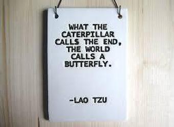 Product - Vivify Hot Yoga in Rio Rancho, NM Yoga Instruction