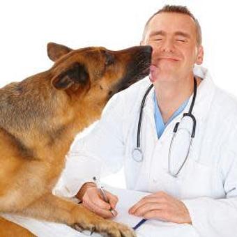 Product - Waggin' Tail in Max Meadows, VA Pet Boarding & Grooming